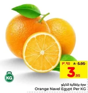 برتقال نافل مصر لكل كيلو