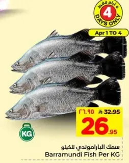 سمك الباراموندي الكيلو