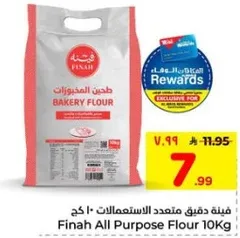 دقيق متعدد الاستعمالات 10 كجم