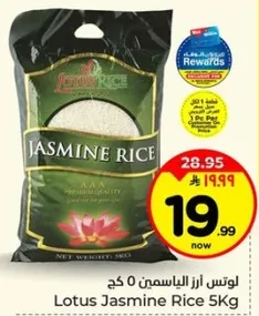 لوتس ارز الياسمين 0 كج