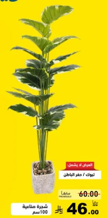 نبات صناعي / حفر الباطن