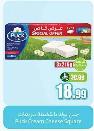 Puck Cream Cheese Square