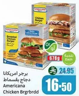 Americana Chicken Burger
