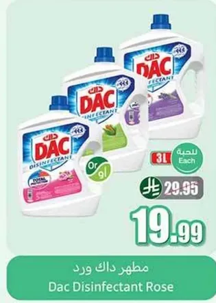 مطهر داك ورد