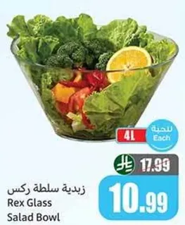 زبديه ركس سلطه