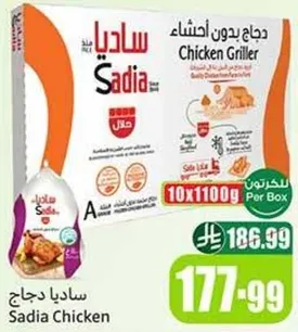 دجاج ساديا، 10 قطع بوزن 1100 جرام لكل قطعه.