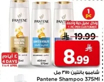 شامبو بانتين 375 مل