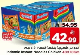 Indomie Instant Noodles Chicken 40x70g