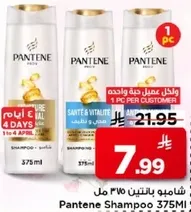 شامبو بانتين 375 مل