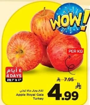 تفاح رويال جالا تركي