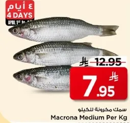 سمك مكرونه للكيلو.