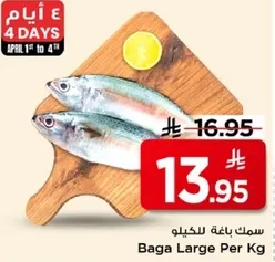 سمك باغه للكيلو