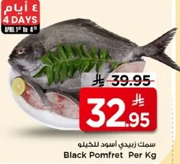 سمك زيدي اسود للكيلو