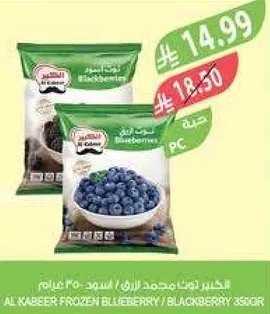 التوت الازرق المجمد من الكبير