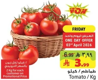 طماطم / كيلو