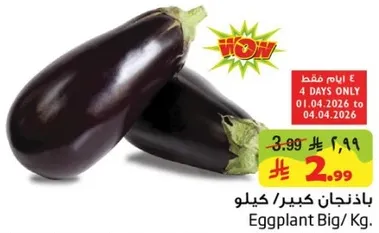 باذنجان كبير / كيلو