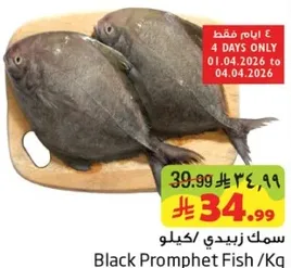 سمك زيبيدي /كيلو