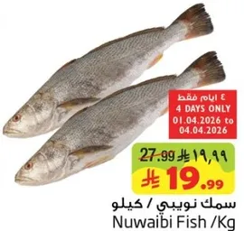 سمك نويبي / كيلو
