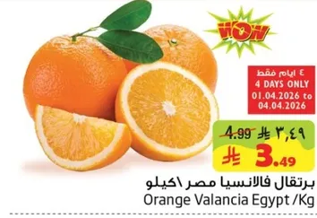 برتقال فالنسيا مصر كيلو