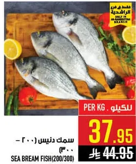 سمك دنيس (200/300)