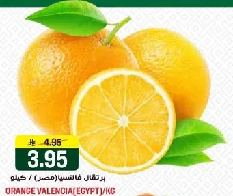 برتقال فانسيس (مصر).