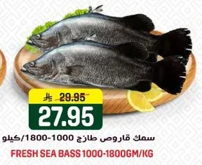 سمك قاروص طازج 1000-1800غ/كغ