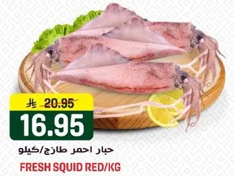 حبار احمر طازج/كيلو