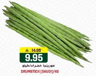 مورينجا خضراء/كيلو