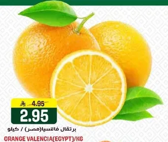 برتقال فانسيا (مصر).