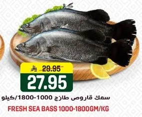 سمك قاروص طازج 1000-1800 جرام/كيلو