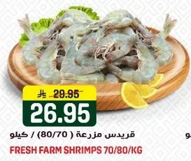 جمبري مزرعه طازجه 70/80 كجم