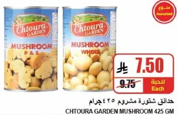 حدايق شتوره مشروم 425 جرام