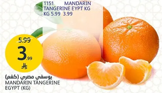 يوسفي مصري (كغم)