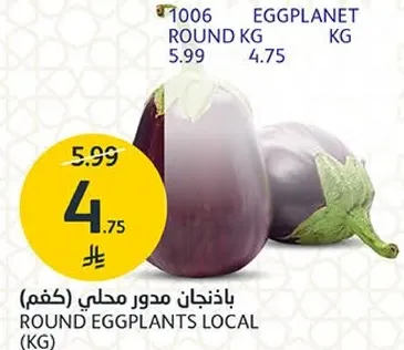 باذنجان مدور محلي (كغم)