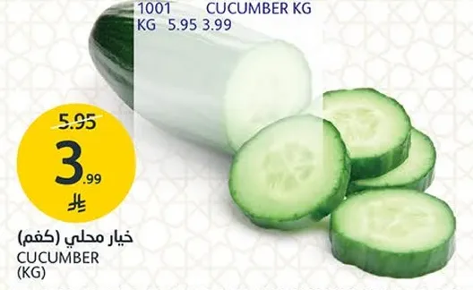 خيار محلي (كغم)