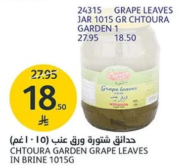 حدايق شتوره ورق عنب (1015 غم)