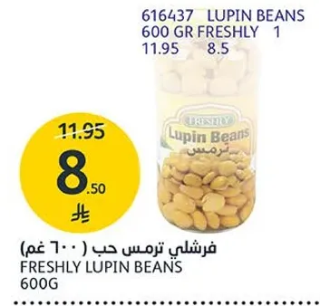 فRESHLY لبن حب ( 600 غم )