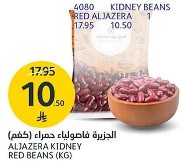 ALJAZERA KIDNEY RED BEANS (KG)