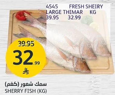 سمك شيري طازج، حجم كبير.