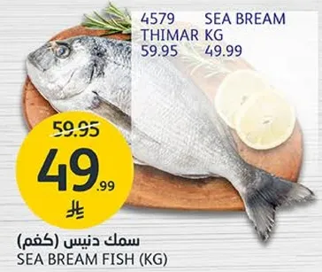 سمك دنيس (كغم)