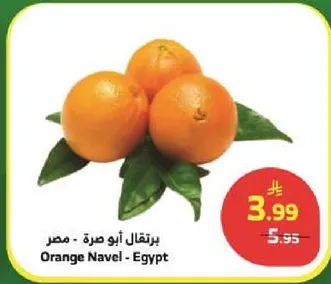 برتقال ابو صره - مصر