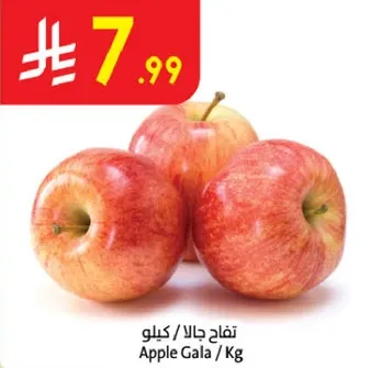 تفاح جالا / كيلو