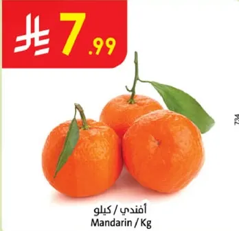 افندي / كيلو