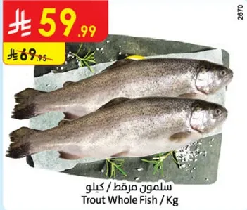 سلمون مرقط / كيلو