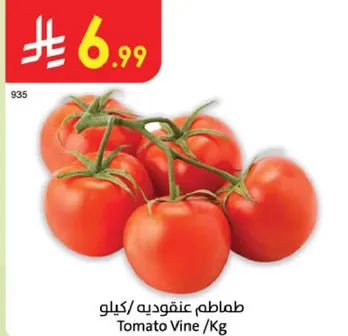 Tomato Vine /Kg