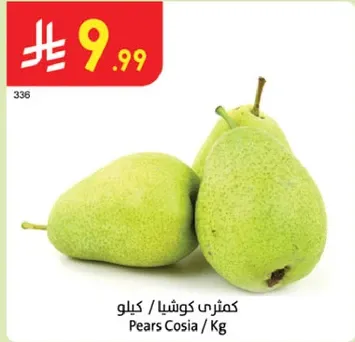 كمثري كوشيا / كيلو