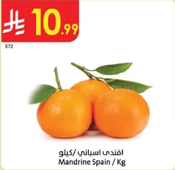 افندي اسباني / كيلو