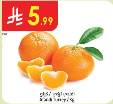 افندي تركي / كغ