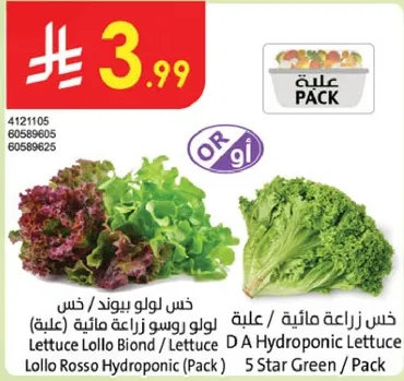 خس لولو بيوند / خس لولو زراعه ماييه (علبه)