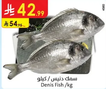 سمك دنيس /كيلو